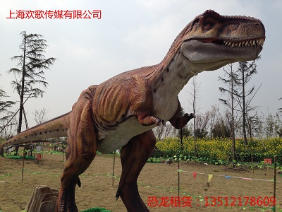 恐龙租赁 金九银十大促销，全场8.5折