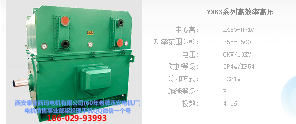 西安西玛电机YXKS系列高效节能高压电机出厂价直销
