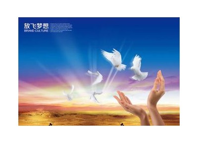 网站形象视频 (485播放)