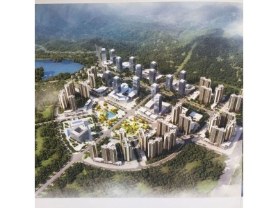 长田新区