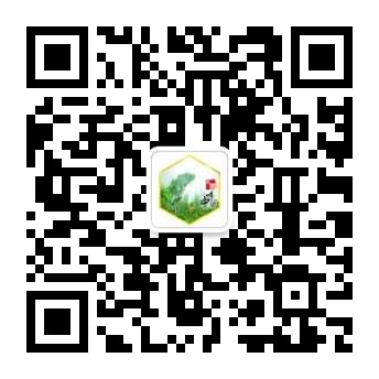 古賨蜂业 (2)
