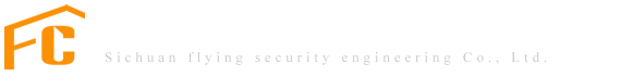 四川飞创安防工程有限公司