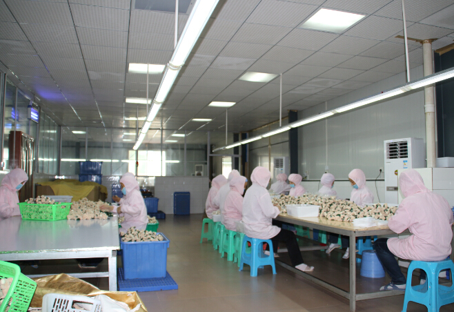 packing department (1)
