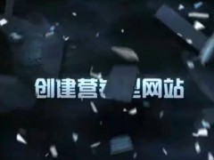 测试的视频
