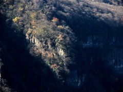 木龙红叶风光 (3)