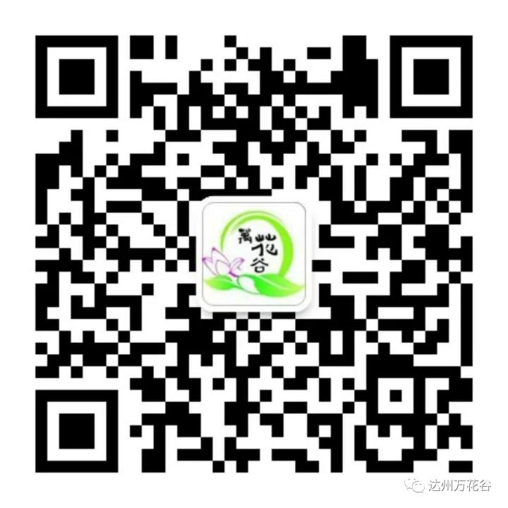 万花谷二维码