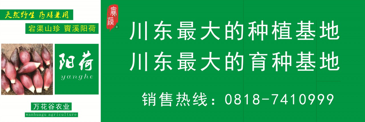未命名 -3_副本