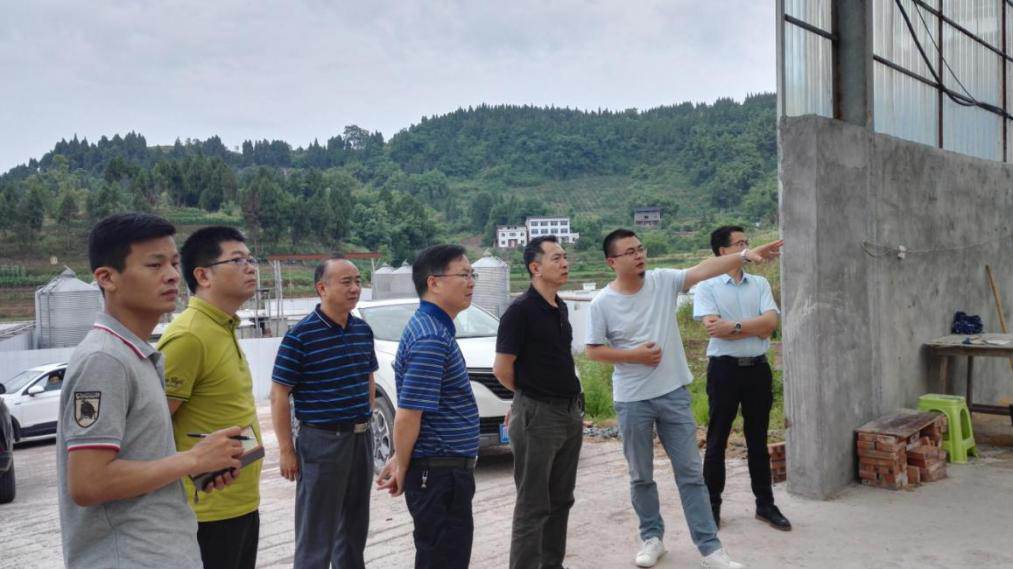 达川区调研指导畜禽粪污资源化利用整县推进项目建设工作_新闻中心