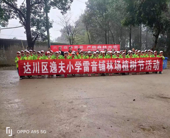 图片9